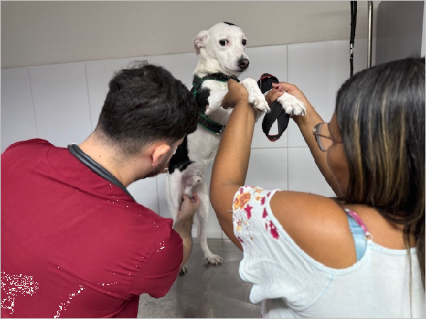 VetMóvel percorrerá mais de 15 localidades em Crato