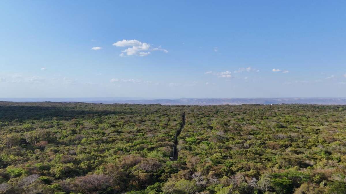 Livro sobre florestas será lançado no aniversário de 80 anos da Flona Araripe