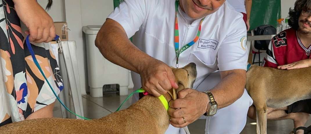 Giro Pet chega ao Cariri com ações voltadas a cães e gatos
