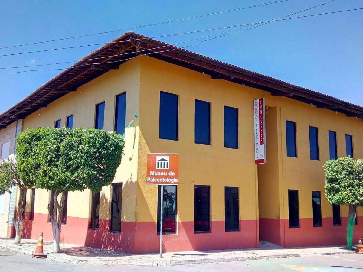Museu de Paleontologia recebe fóssil de miriápode repatriado ao Brasil