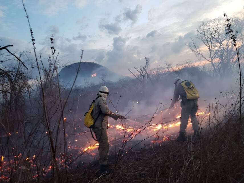 Juazeiro do Norte registra o segundo maior número de incêndios do Ceará em julho