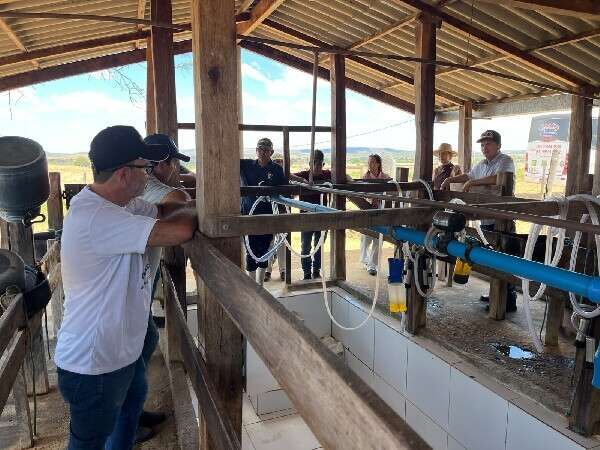 Produtores do Crato conhecem estratégias de melhoramento genético