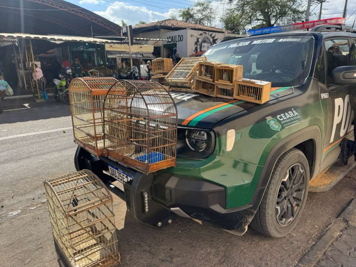 Ação da Polícia Ambiental apreende aves silvestres e gera R$ 13,5 mil em multas