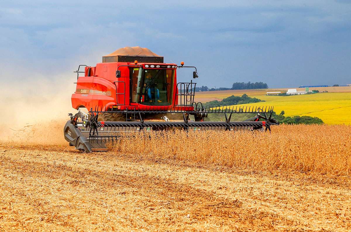 Cariri registra R$ 838 milhões em valor da produção agrícola